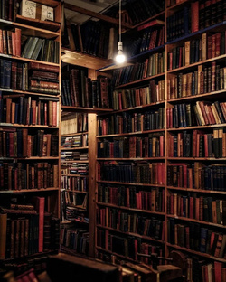 Книжная полка