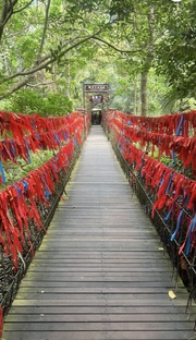 Мысли вслух