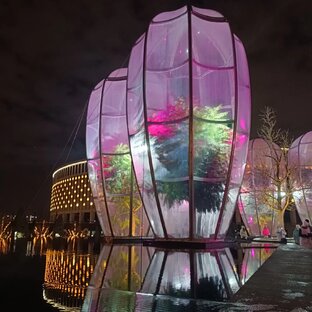 Краснодарский край