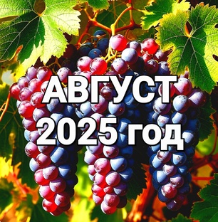 АВГУСТ  2025 год