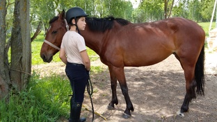 Уход за лошадьми