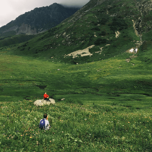 Польза лесных купаний 🌳