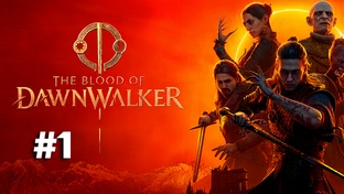 The Blood of Dawnwalker