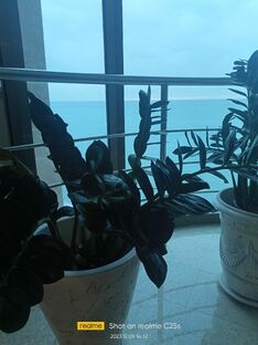 Она стояла у окна. Мое творчество.