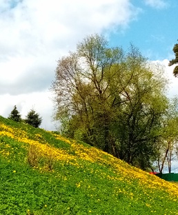 Есть только миг между прошлым и будущим 