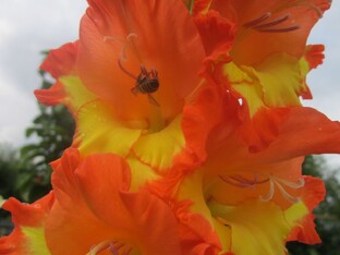 Истории из жизни