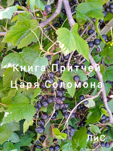 Книга Притчей Царя Соломона. (Современный перевод) 