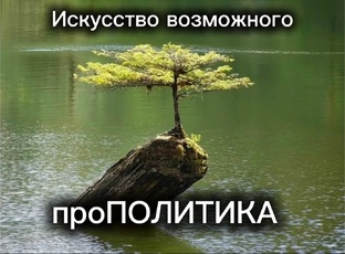 проПОЛИТИКА