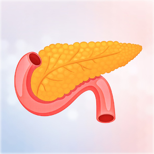 Поджелудочная железа