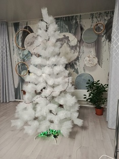 2024 год