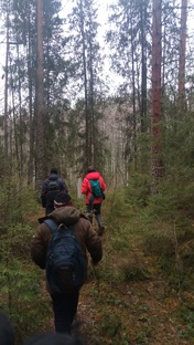 пешие прогулки