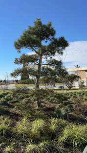 Прогулка по парку при Резиденции Мантера