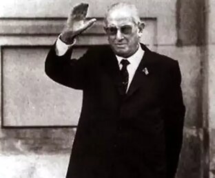 "Подлесок" Андропова