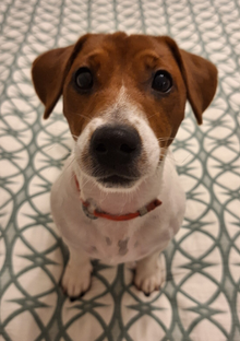 Статьи и посты