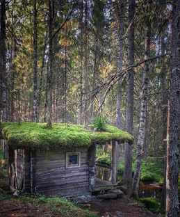 Строительство лесной хижины