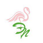 Полезная информация о Спирулине 