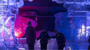 Прогулки