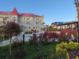 Мореми