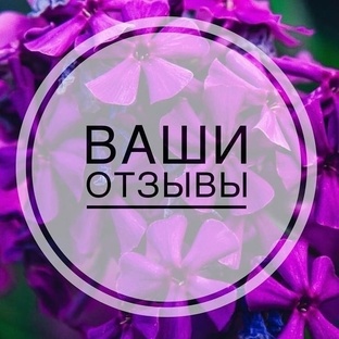 Ваши отзывы