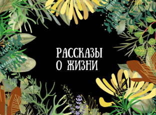 Рассказы о жизни