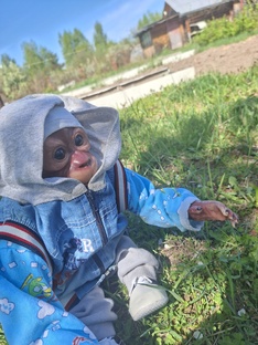 Congo