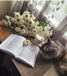Жители домика. 
