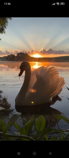 Тесты по профориентации и типология