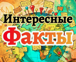 Интересные факты