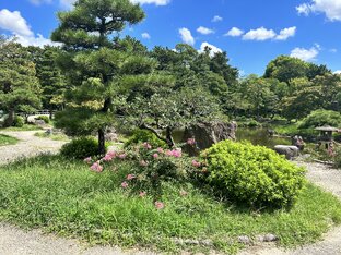 Звёзды Японии