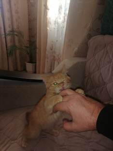 Терминатор мой😃