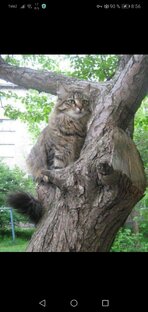 Незаметно притаился