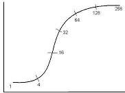 ... и словом этим были имена числительные 