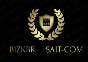 О проекте BizKBR