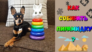 Обучалки