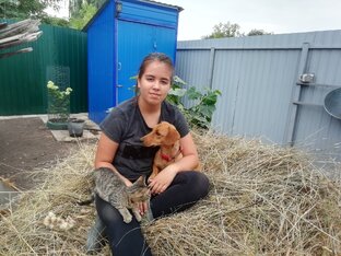 О друзьях наших меньших🐕