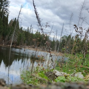 Плёнка памяти