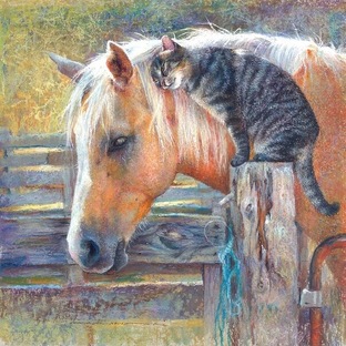 Пушистики в наших сердцах! Рассказы и статьи.