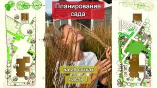 План участка на 20 сотках в природном стиле