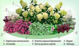 Дача, сад, огород