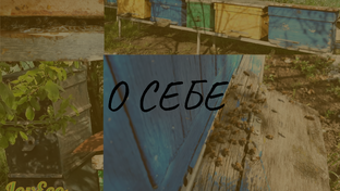 О себе