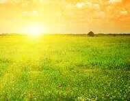 Рассказ Обыкновенное утро