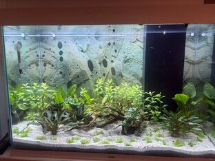 Дневник запуска