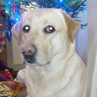 Простые истории о самом главном!