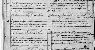 Генеалогия