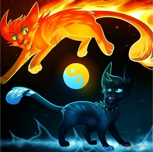 Коты-воители