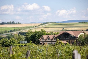 Винодельни 🍷