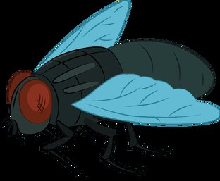 СКАЗКА О ГЛУПОЙ МУХЕ, КОТОРАЯ ЛЮБИЛА ВСЕХ ПОУЧАТЬ