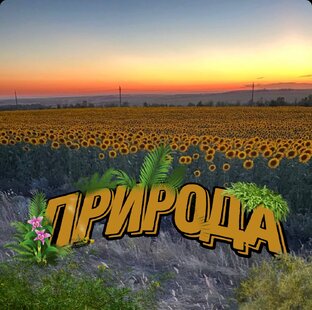 Природа 