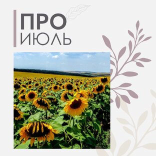 Прогнозы июль 2024