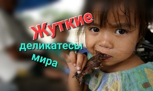 Загадки мира